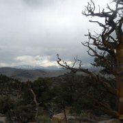 MonoBasin 066 : MonoBasin